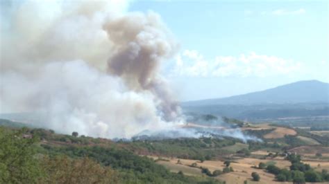 In Fumo Oltre Ettari Di Bosco