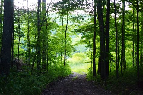 The Story of a Seamstress: June 2012