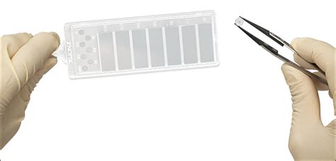 Optics Handling and Care Tutorial