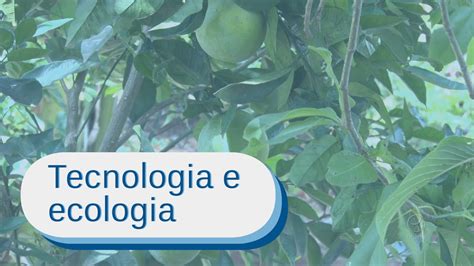 Pesquisadores Da UnB Desenvolvem Tecnologia Para Agricultura Familiar