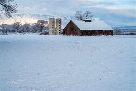 Winter Snow on Abandoned Old Fashioned Dairy Farm Buildings Stock Image ...