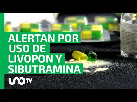 Cofepris Alerta Por Producto Enga Oso Con Sibutramina Unotv