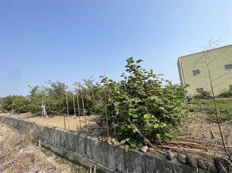 員林房屋出售 大村買土地 彰化縣大村鄉 員林房屋出售 大村漂亮建地可廠登 我家網