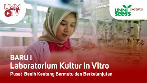 BARU Laboratorium Kultur In Vitro Pusat Benih Kentang Bermutu Dan