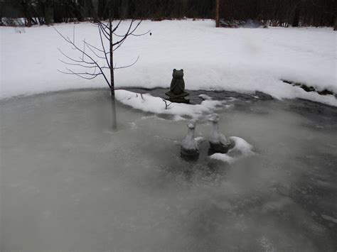 winter rain 11 – Adirondack Outlaw