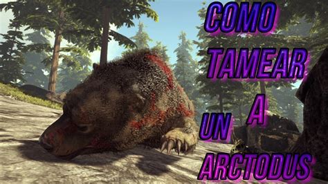 Ark Survival Evolved Como Tamear A Un Arctodus 19 Ark Youtube