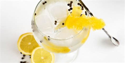 Gin Tonic Koval Ricetta E Cucina