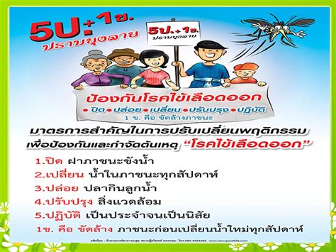 ไข้เลือดออก Ppt Free Download