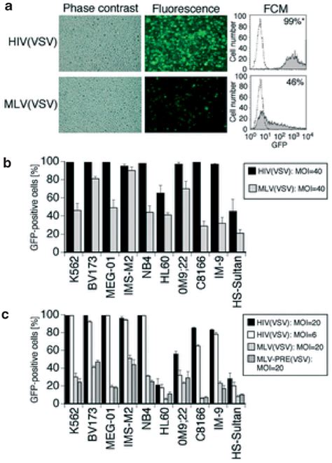 Gfp Expression In Leukemia Cell Lines A Gfp Expression In K562 Cells