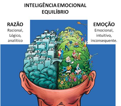 INTELIGÊNCIA EMOCIONAL QUAL O SEU NÍVEL Alpha Sistemas