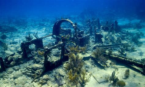 5 Ways To Enjoy The Florida Keys While Protecting The Reef Office Of