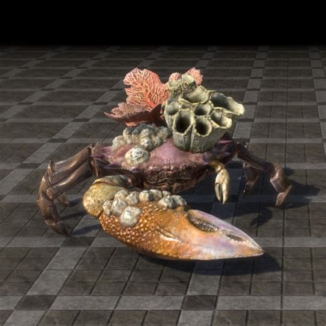 Onlinetarget Mudcrab Robust Coral The Unofficial Elder Scrolls