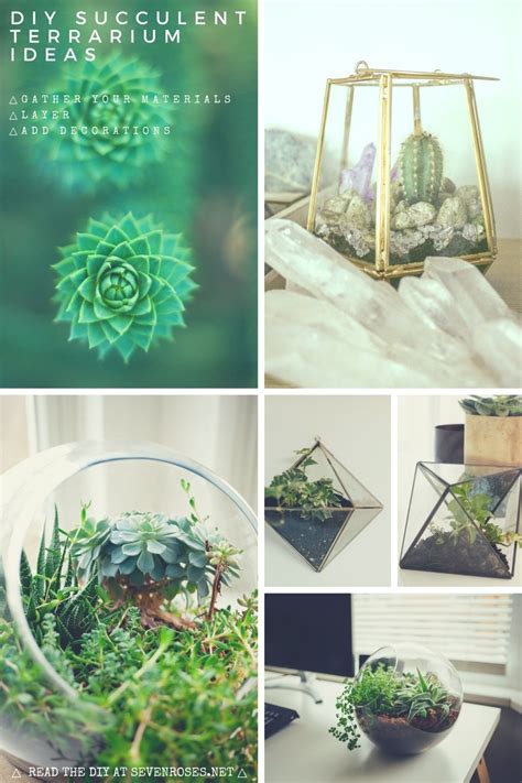 DIY: Succulent Terrarium Ideas - Seven Roses