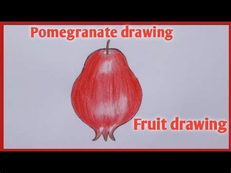 How To Draw A Pomegranate Fruit Pomegranate Drawing Easy Step By