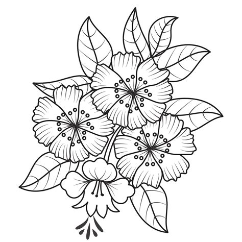 Set Of Different Flower Line On White Background Flowers Drawing With