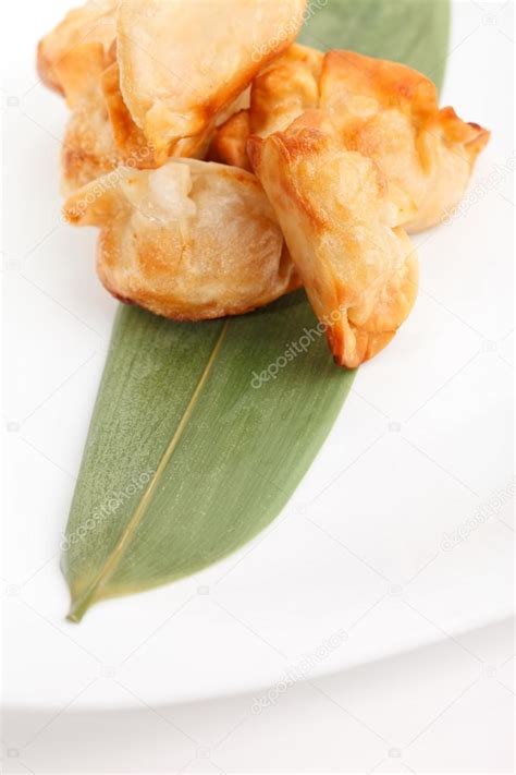 Plate of fried potstickers — Stock Photo © Shebeko #105461292