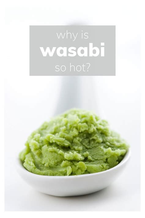 How Hot Is Wasabi Spiciness On The Scoville Scale Explained