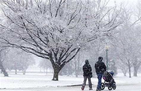 Детская коляска Капелла Сибирь: полный обзор, модели, описание и отзывы ...