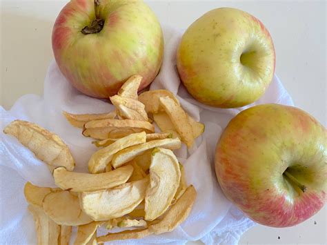 Easy Recipe for Homemade Dried Apple Slices - the Perfect Fall Snack ...