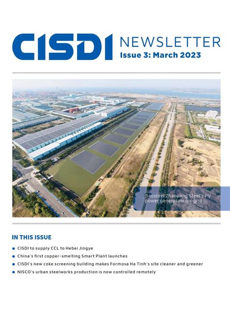 Cisdi Newsletter Issue Cisdi Uk