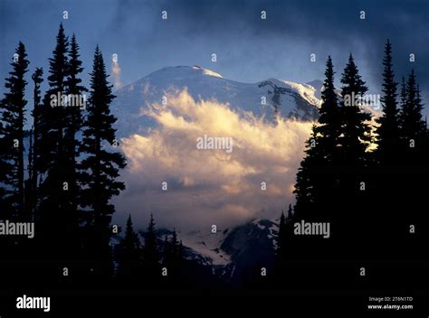 Mt Rainier from Sunrise Point, Mt Rainier National Park, Washington Stock Photo - Alamy