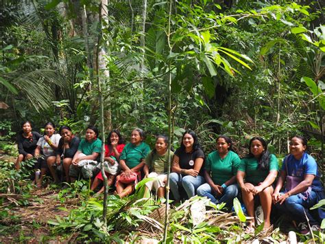 No Maranhão Mulheres Indígenas E Brigadistas Voluntários Mapeiam