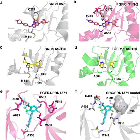 Structural Basis For SRC And FGFRs Targeting By FIIN 2 TAS 120 And