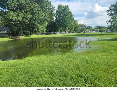 Rainfall Creates Temporary Pond Stock Photo 2004105881 Shutterstock