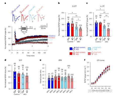 AGR1小胶质细胞对小鼠脑发育和功能的调节 - 知乎