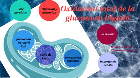 Oxidacion total de la Glucosa by Jhonatan Chaucanes on Prezi