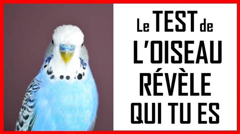 TEST PSYCHOLOGIQUE LE TEST DE lOISEAU RÉVÈLE QUI TU ES YouTube