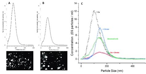 Measurement of casein micelle size using nanoparticle tracking analysis ...