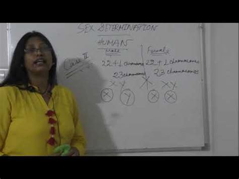 Sex Determination In Human Class Life Process Bio Ncert Youtube