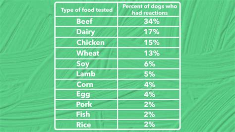 Dog Food Allergies: Symptoms And Treatment Options - DodoWell - The Dodo