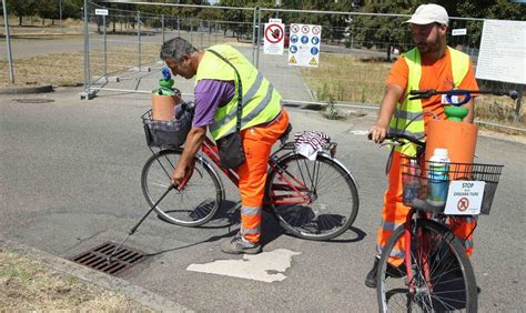 Formigine Parte La Lotta Alla Zanzara Tigre Gazzetta Di Modena