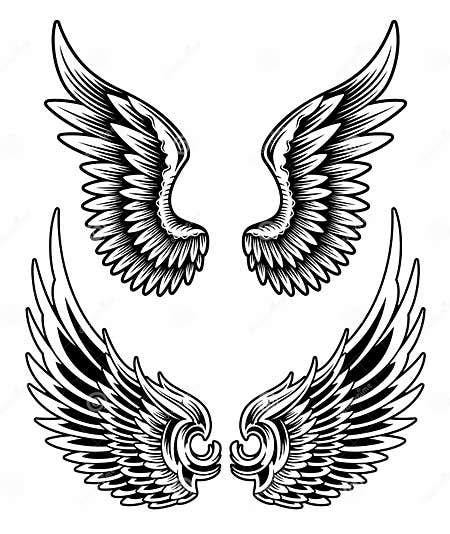 Wings Set Vector Stock Vector Illustration Of Wings 33684746