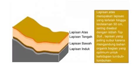 Penjelasan Empat Lapisan Tanah Beserta Kandungan Dan Manfaatnya