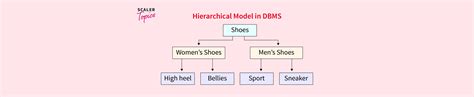 Hierarchical Model In Dbms Scaler Topics