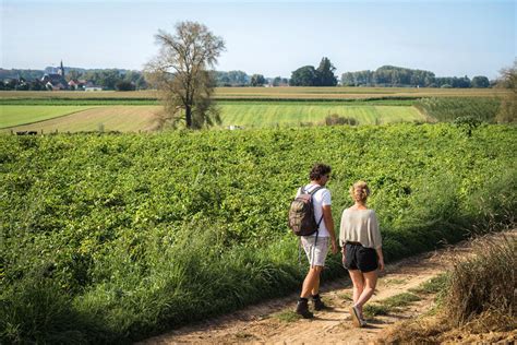 Van Herzele Naar Woubrechtegem Wandelroute Wandelknooppunt Be