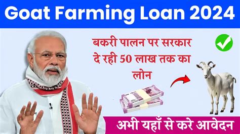 Goat Farming Loan 2024 बकरी पालन पर सरकार दे रही 50 लाख तक का लोन अभी