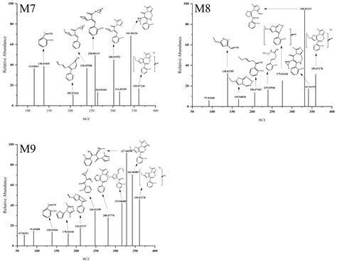 Metabolites Free Full Text Metabolic Profile Analysis Of Designer