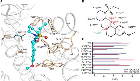 Figure From Molecular Mechanism For Ligand Recognition And Subtype