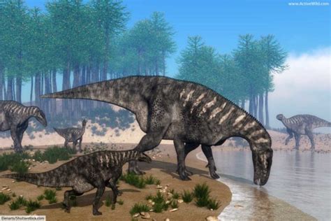 The Cretaceous Period Facts And Info For Kids And Adults The Ultimate Guide