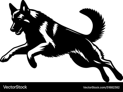 Portrait Of A German Shepherd Dog Isolated Vector Image