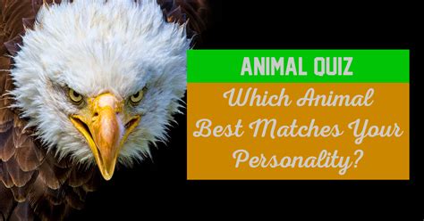 Animal Quiz: Which Animal Best Matches Your Personality? Question 11 ...