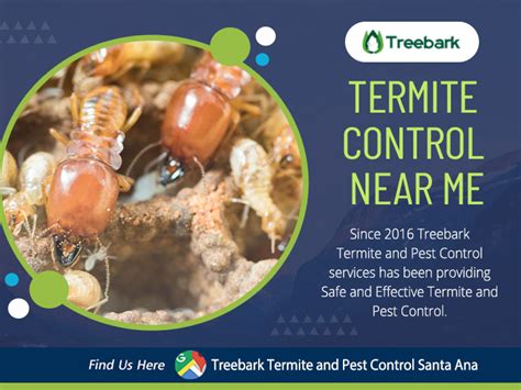 Treebark Termite And Pest Control Santa Ana Local Termite Control Companies