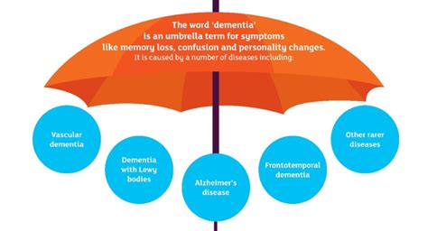 Understanding the Types and Symptoms of Dementia