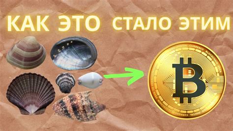 Как появились деньги ? | История Денег: от ракушек до криптовалюты ...