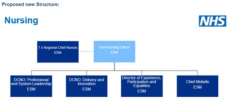 Full details: New NHS England and Improvement structure | News | Health Service Journal