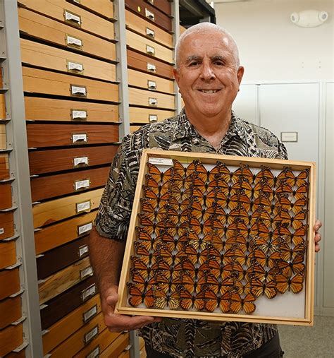 The Monarchs At The Bohart Museum Of Entomology Bug Squad Anr Blogs